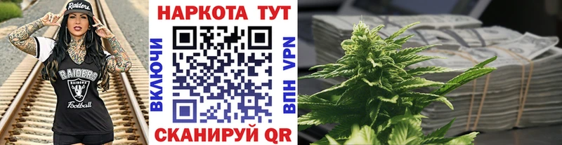 Псилоцибиновые грибы Гай
