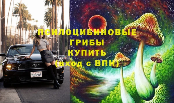 кокс Аркадак