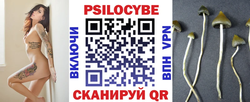 Галлюциногенные грибы прущие грибы  MEGA ТОР  Гай  что такое  