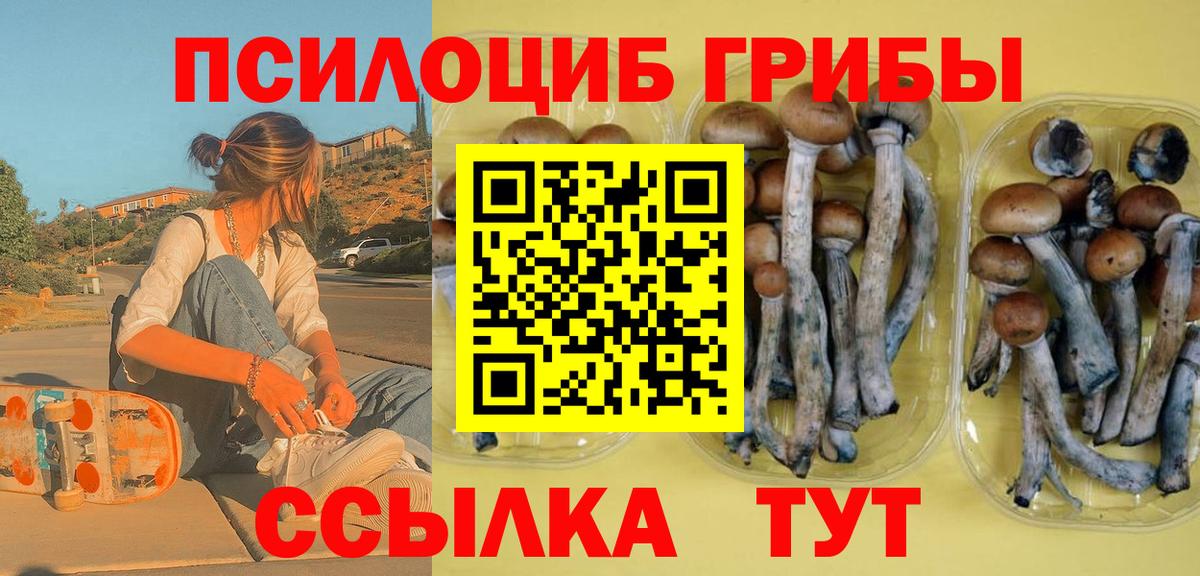 Галлюциногенные грибы Psilocybine cubensis  Вход с VPN  закладка  Гай 
