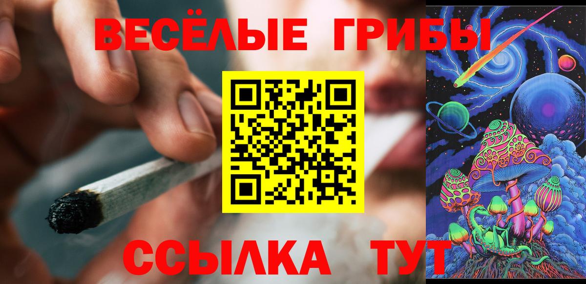 Псилоцибиновые грибы Psilocybe Гай