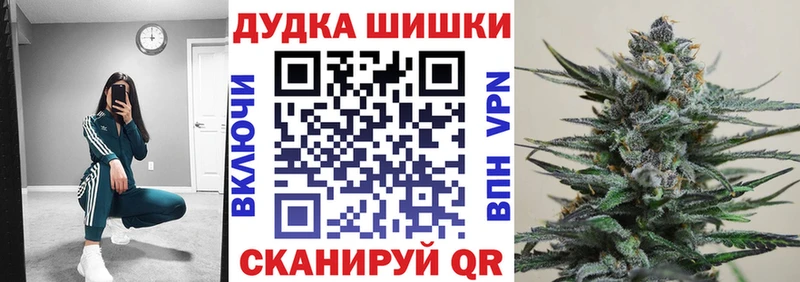 наркота Гай Канабис SATIVA & INDICA